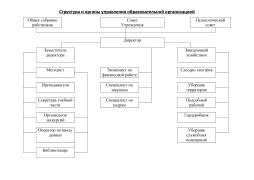 Структура управления образовательной организацией